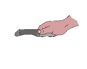lame effilée